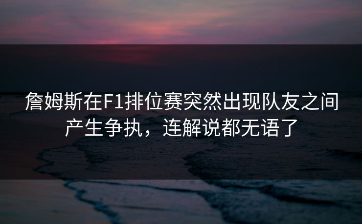 詹姆斯在F1排位赛突然出现队友之间产生争执，连解说都无语了