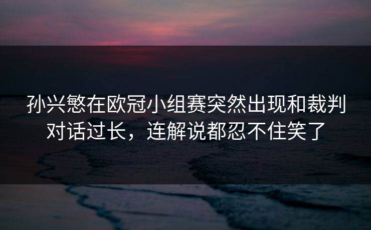 孙兴慜在欧冠小组赛突然出现和裁判对话过长，连解说都忍不住笑了