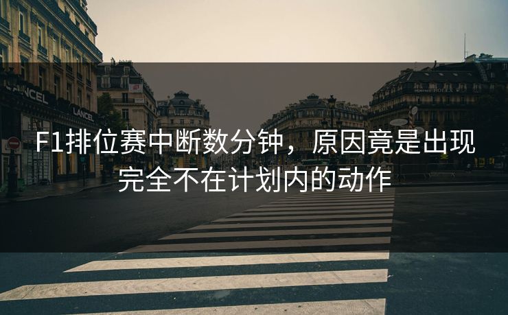 F1排位赛中断数分钟，原因竟是出现完全不在计划内的动作